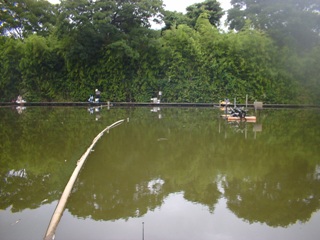 釣り座からの風景