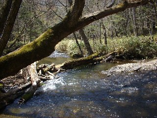 湯川っぽいなぁ