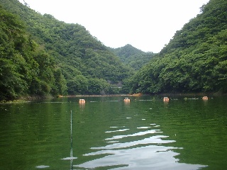 大きな湖に漕ぎ出すのはいつでも爽快