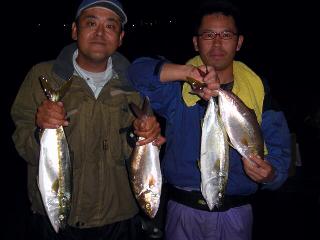 iioka_jigging