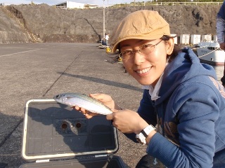 釣れました