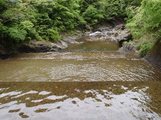 上から撮ってみました