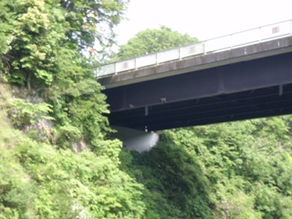 亀山・三島・豊英とこの辺りはサルが多いです