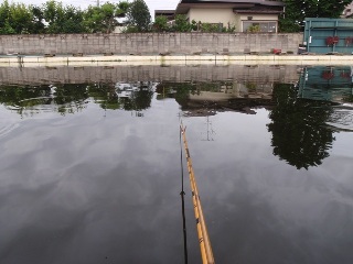 10番に入りました