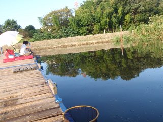 魚の引き合いにはならずにすみそう