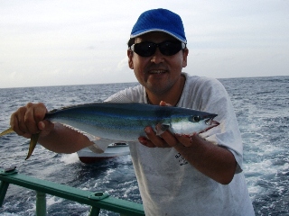 晩ゴハンの食材です