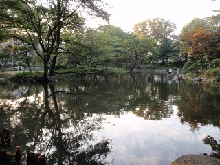 沖まですごく浅いです