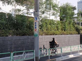 おかげで道に迷いません