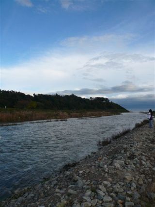 水量が多いです