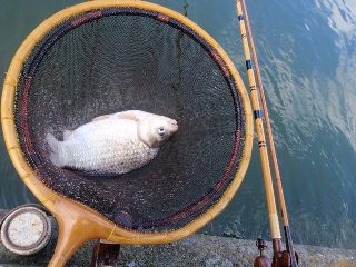 この竿でこの釣りをやってみたかったんです