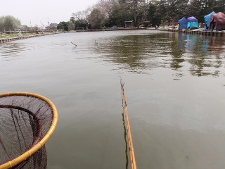 池の一番奥です