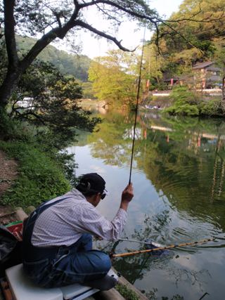 こっち来い～