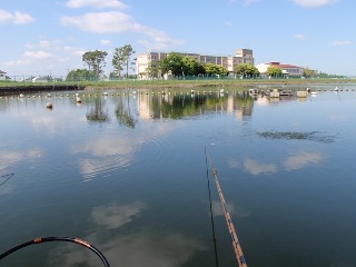 行楽時季らしい良い天気でした