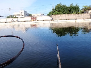 住宅地の箱池ですから嫌いです。ここ