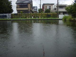 5号池は僕一人です