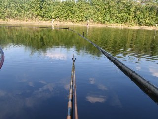 絶好のお天気に恵まれました