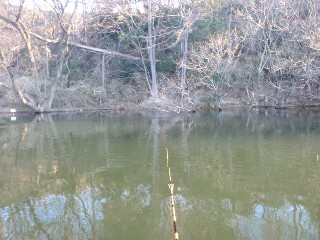 岸に向かって打ちます