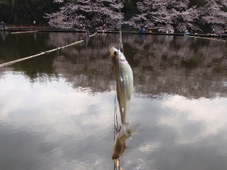 キミたち、どれだけ元気やねん…