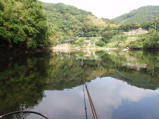 鳥のさえずりが心を癒します