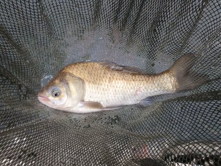 釣れない時間帯がやってきます