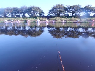 既に対岸はいっぱいです