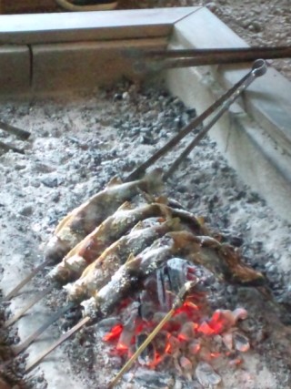 塩焼きも旨そう