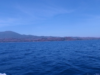 海岸の景色は日本に似てます