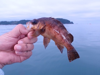 食べるところが無い…