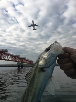 離陸する飛行機とシーバス