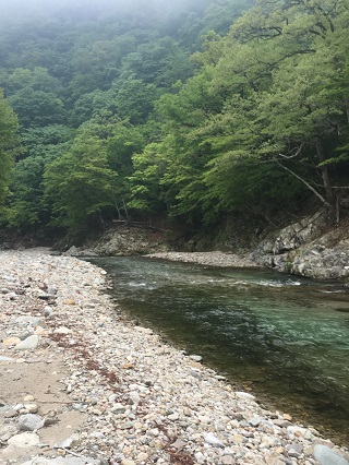 開けた川です