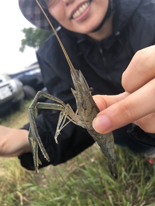 もはやこれは偶然と呼べまい