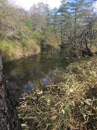 今年も来ました