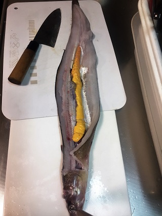 食えるのかな？