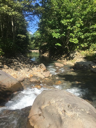 奥に淵が見えます