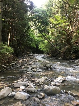 一年で一番渓が良い季節かも