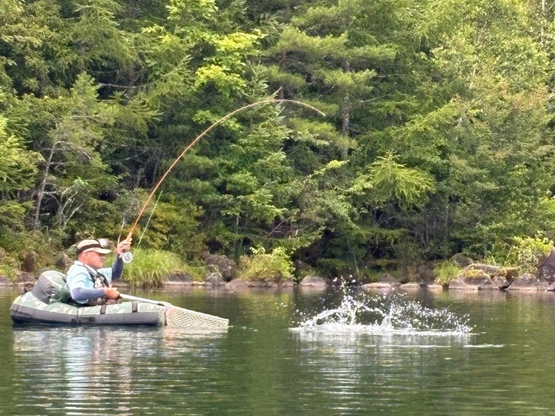 ファイトシーン