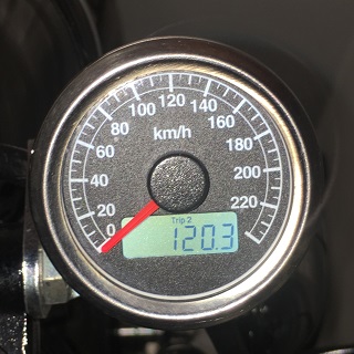 今日もよく遊びました