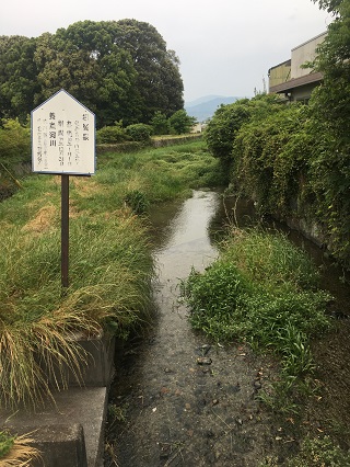 確かに昔はもっと水量があったような気がします