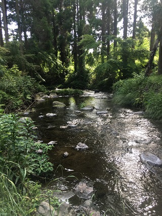 よい川、よい水じゃ