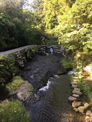 お散歩だけでもいい気持ち