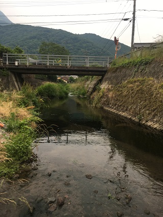 前の茂みの向こうが湯の坪川の合流