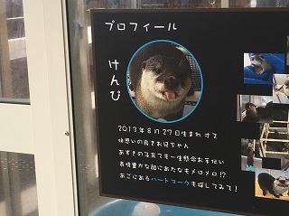 けんぴくん