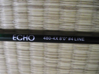 echo1